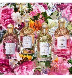 Aqua Allegoria Pamplelune - Eau de Toilette Aqua Allegoria Pamplelune - Eau de Toilette